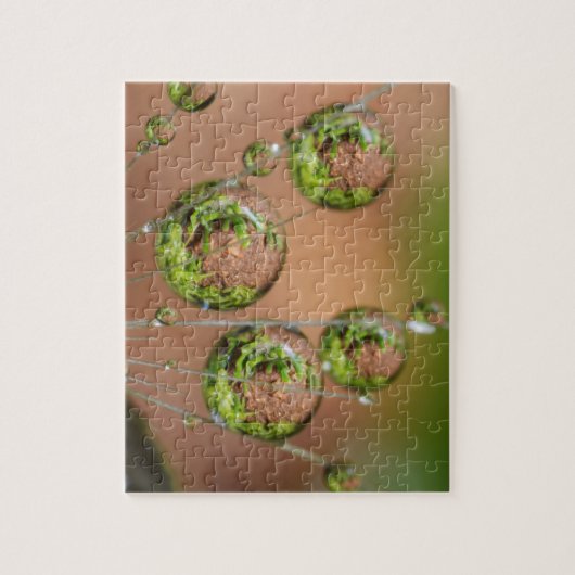 水滴反射 ジグソーパズル (縦)