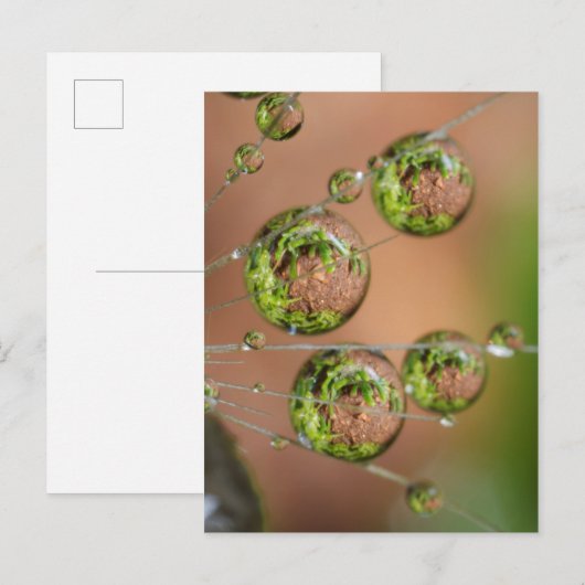 水滴反射 ポストカード (正面/裏面)