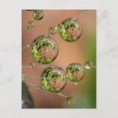 水滴反射 ポストカード (正面)