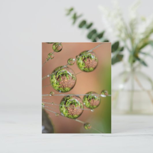 水滴反射 ポストカード (スタンド正面)