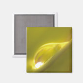 水滴磁石3 マグネット (正面/裏面)