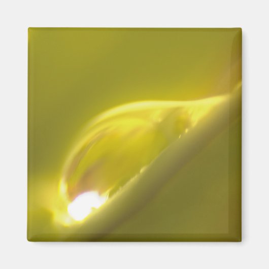 水滴磁石3 マグネット (正面)