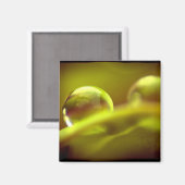 水滴磁石 マグネット (正面/裏面)