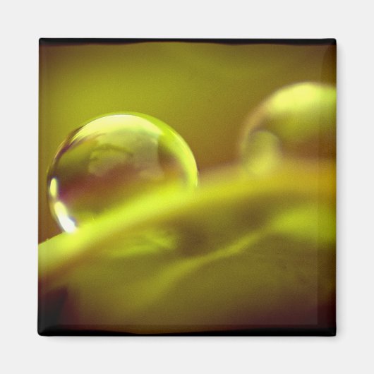 水滴磁石 マグネット (正面)