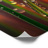 水滴穏やかな穏やかな自然平和な禅 ポスター (角)