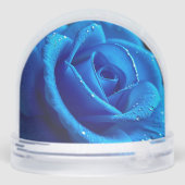 水滴鮮やか付き青バラ (裏面)