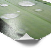 水滴 フォトプリント            (角)