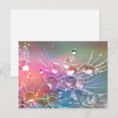 水滴 ポストカード (正面/裏面)