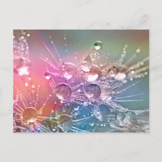 水滴 ポストカード (正面)