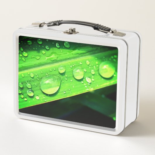 水滴 メタルランチボックス (正面)