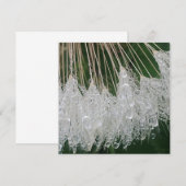 水滴 招待状 (正面/裏面)