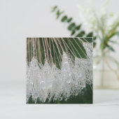 水滴 招待状 (スタンド正面)