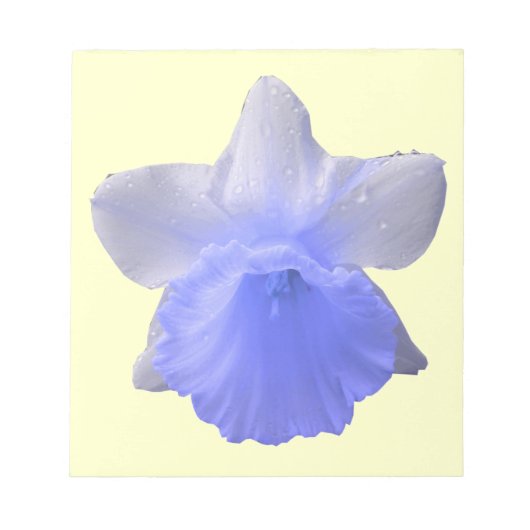 水滴Daffodilブルーメモ帳 ノートパッド (正面)