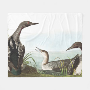 水潜り鳥の鳥の野性生物動物のフリースブランケット フリースブランケット