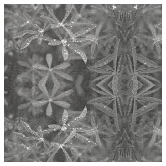 水点々のある葉 ファブリック (クローズアップ)