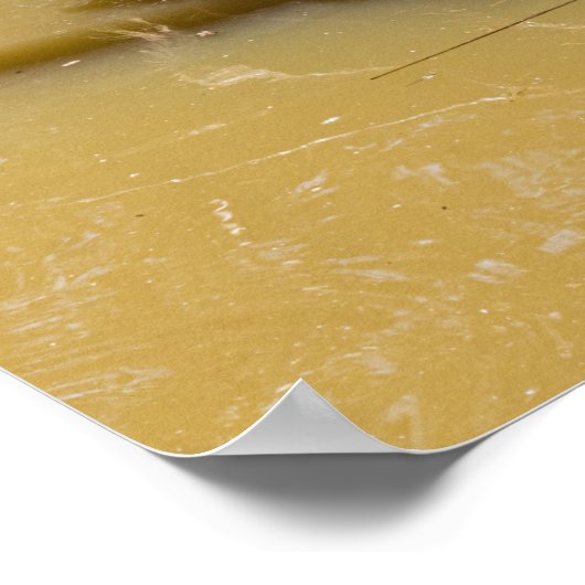 水牛と子牛 ポスター (角)