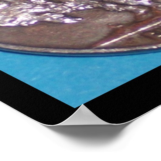 水牛のニクル ポスター (角)