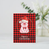 水牛の格子赤の可愛いクリスマスおもしろい豚 シーズンポストカード (スタンド正面)