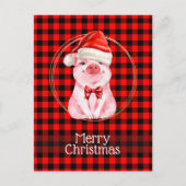 水牛の格子赤の可愛いクリスマスおもしろい豚 シーズンポストカード (正面)