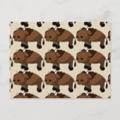 水牛の漫画はがき ポストカード (正面)