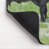 水牛の突き出し頭 マウスパッド (コーナー)