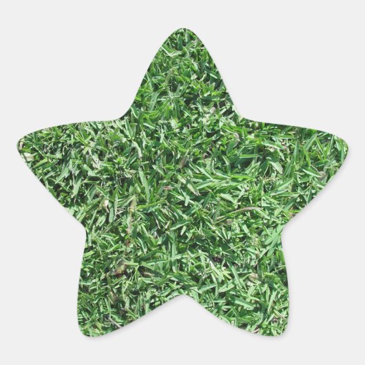 水牛の草 星シール (正面)