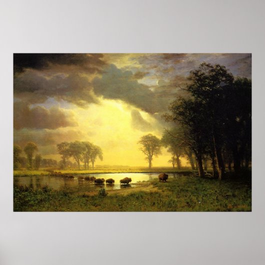 水牛の道 ポスター (正面)