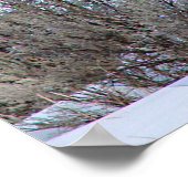 水牛の雪写真 ポスター (角)