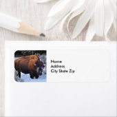 水牛の雪写真 ラベル (インサイチュ)