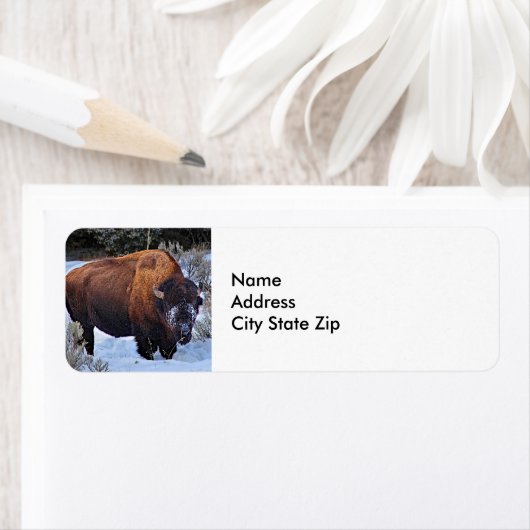 水牛の雪写真 ラベル (インサイチュ)