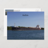 水牛はがき ポストカード (正面/裏面)