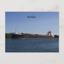 水牛はがき ポストカード