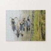 水牛カズランガ国立公園。 ジグソーパズル (横)