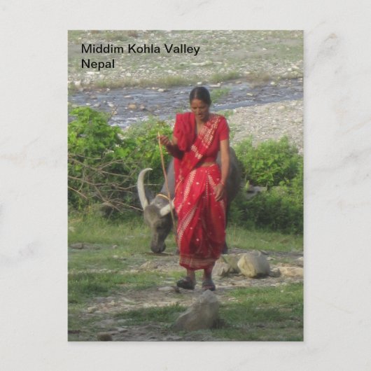 水牛歩きます ポストカード (正面)