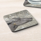 水牛飲料用コースター コースター (左側)