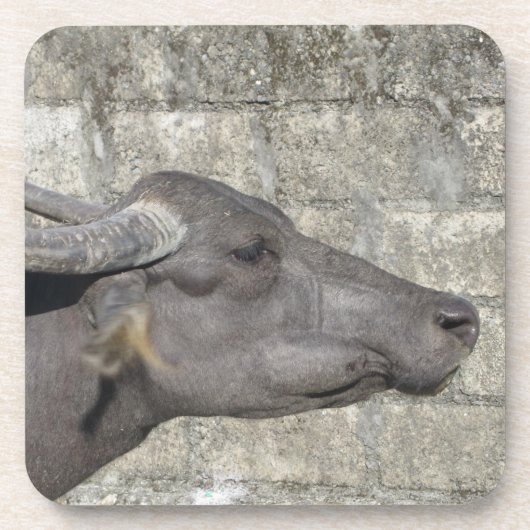水牛飲料用コースター コースター (正面)