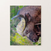 水牛 ジグソーパズル (縦)