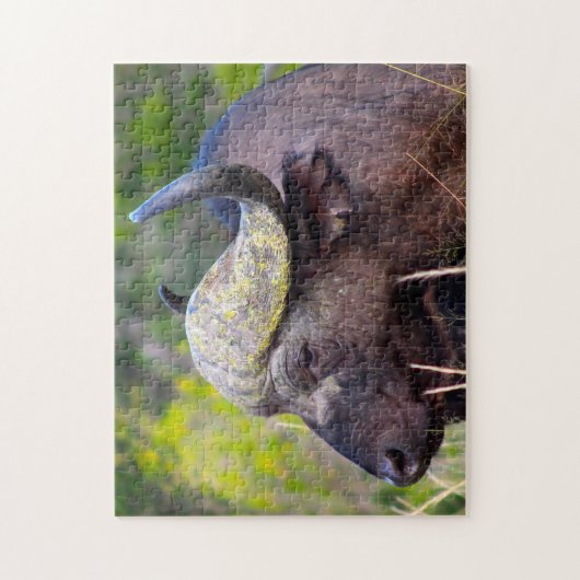 水牛 ジグソーパズル (縦)