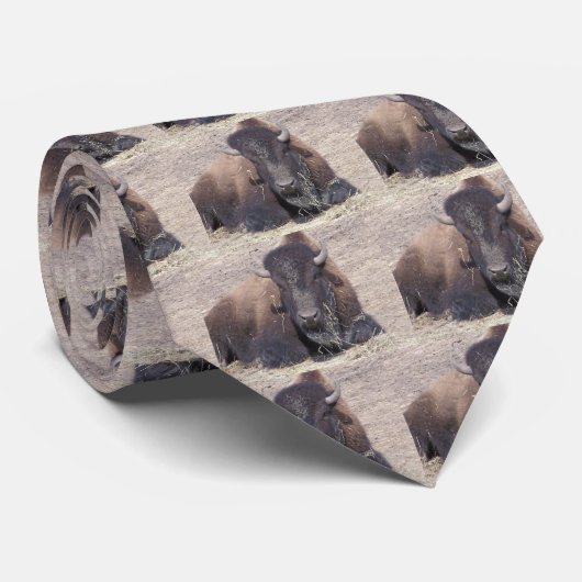 水牛、タイ ネクタイ (ロール)