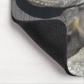 水牛 マウスパッド (コーナー)