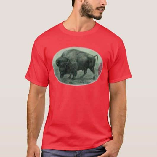 水牛 Tシャツ (正面)
