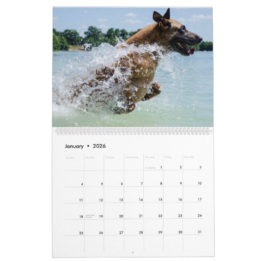 水犬 カレンダー (1月 2026)