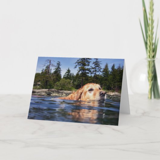 水犬-カード カード (正面)