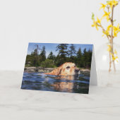 水犬-カード カード (黄色い花)