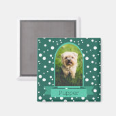 水玉模様のペット用のアーチ写真 マグネット (正面/裏面)