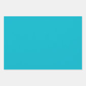 水玉模様フラットシートラッピング紙 ラッピングペーパーシート (正面2)