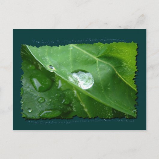 水環境にやさし節約ギフト&ギア ポストカード (正面)