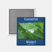 水環境にやさし節約ギフト&ギア マグネット (正面/裏面)