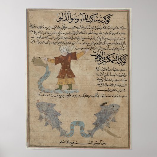 水瓶座と魚座 ポスター (正面)