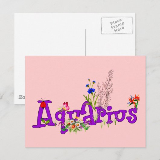 水瓶花 ポストカード (正面/裏面)